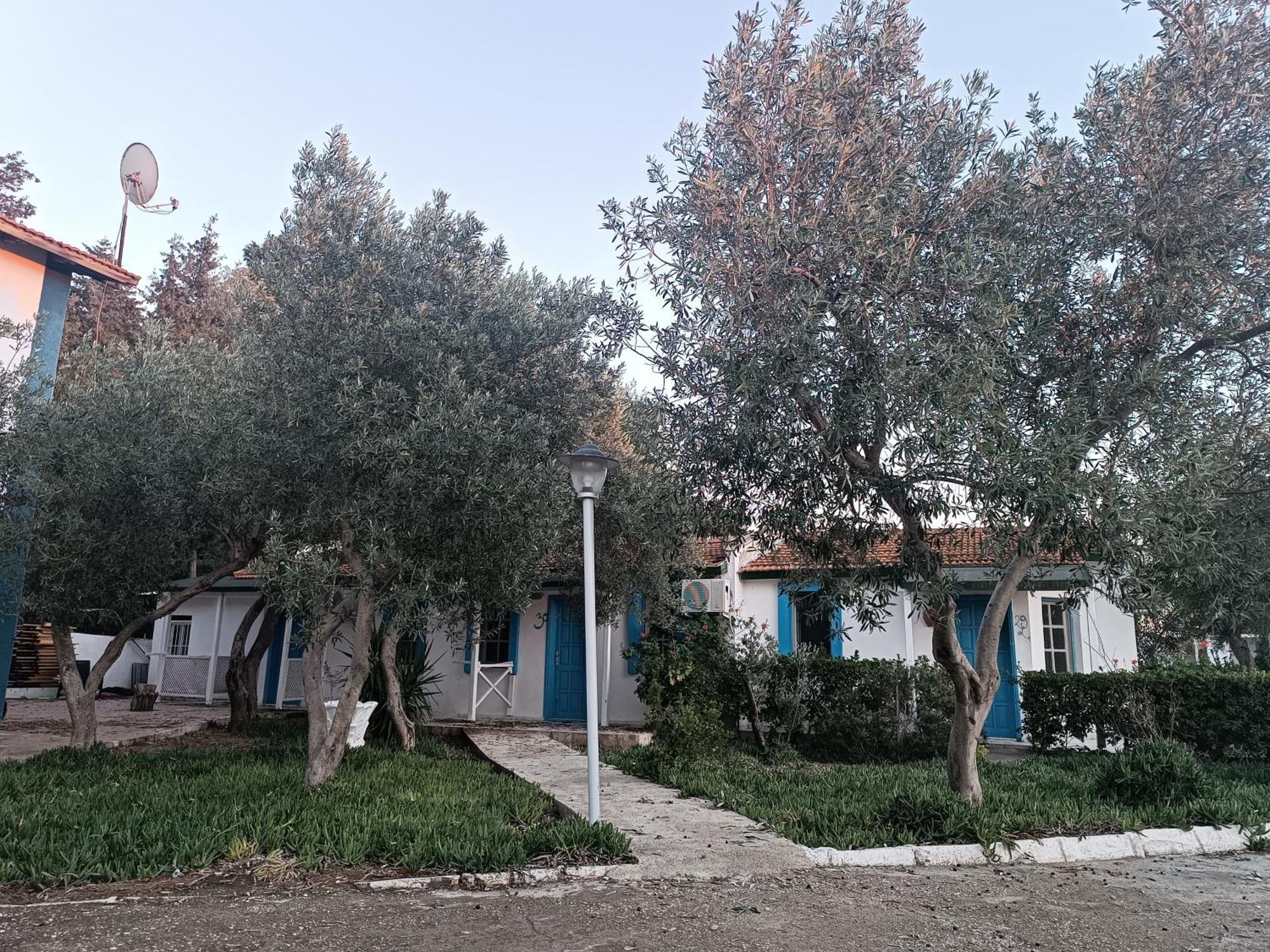 Teos Ormanci Tatil Koyu Hotel Seferihisar Kültér fotó
