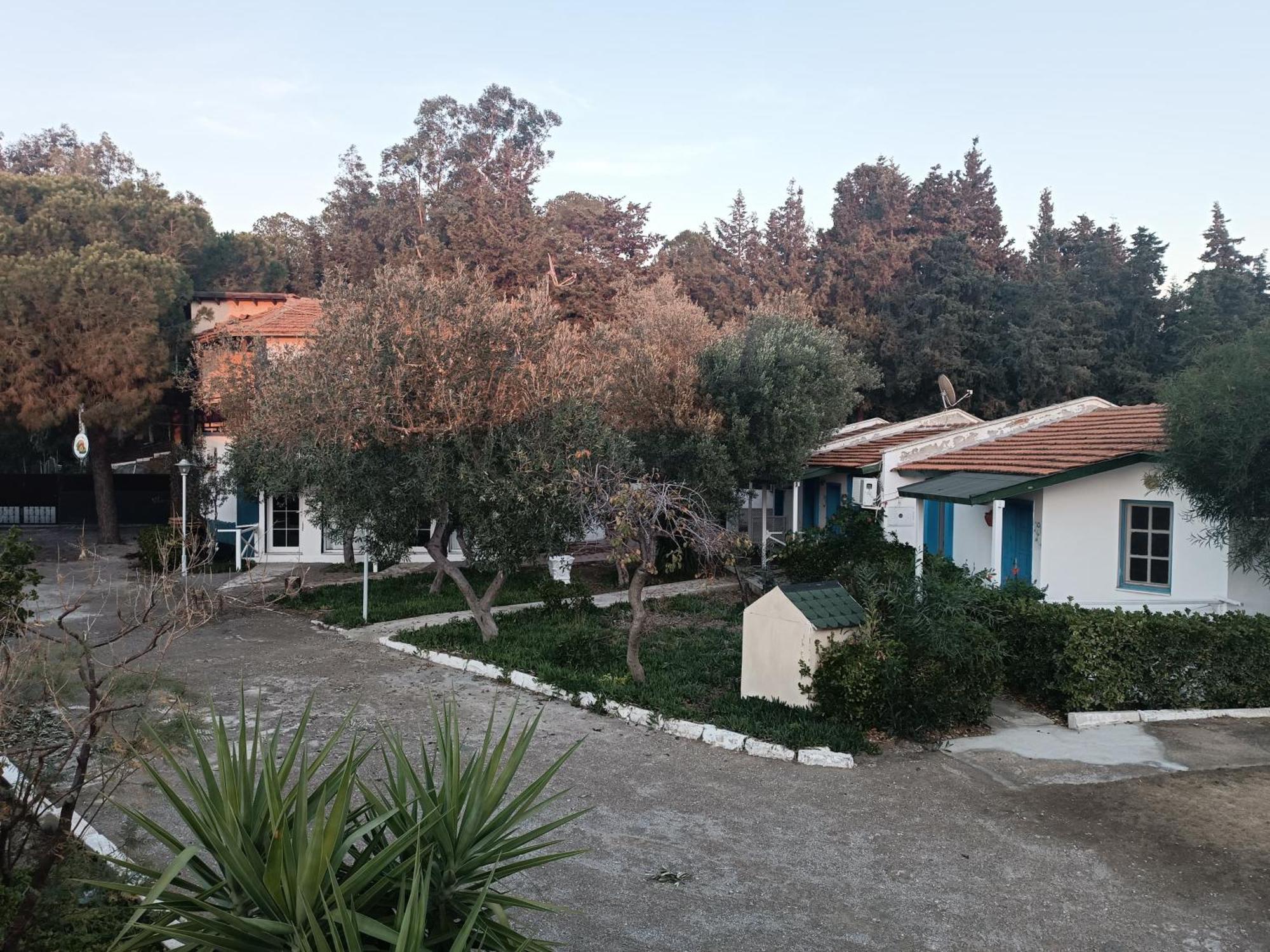 Teos Ormanci Tatil Koyu Hotel Seferihisar Kültér fotó